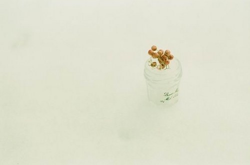 Shima Wai的日系小清新摄影作品_WWW.TQQA.COM