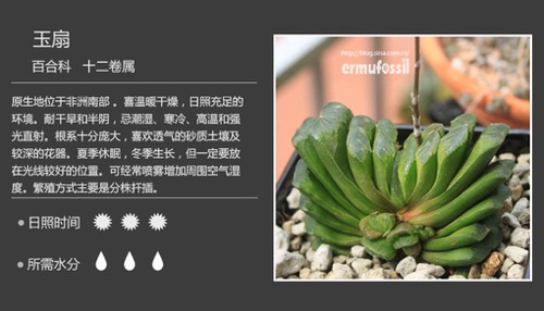 多图详解多肉植物，你懂不呀？_WWW.TQQA.COM