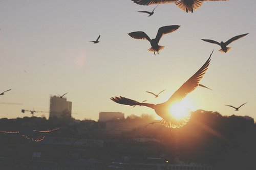 我的离去，并没有带走你的世界_WWW.TQQA.COM