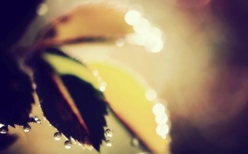 蓦然回首，才发现人活着是一种心情_WWW.TQQA.COM