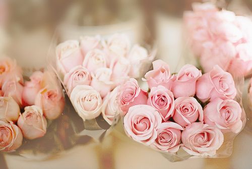 很想说我已经习惯了一个人_WWW.TQQA.COM