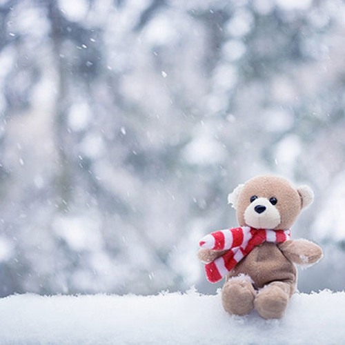 这个冬天 只剩我一个的兵荒马乱 好看的雪景小清_WWW.TQQA.COM