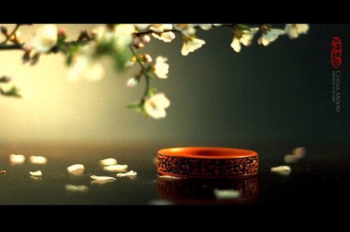 唯美的中国风静物写真_WWW.TQQA.COM