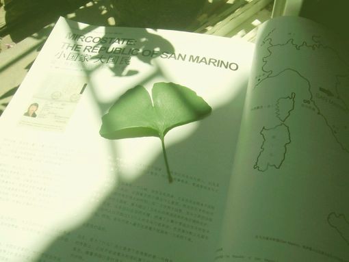9张极具美感的落叶叶子唯美小清新图片_WWW.TQQA.COM