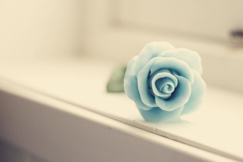 若干年以后，在世界之外_WWW.TQQA.COM