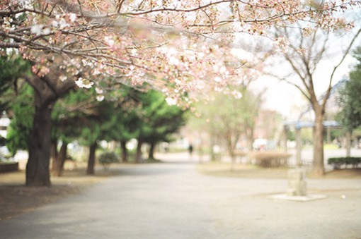 生活中不经意却美好的画面_小清新lomo图片_WWW.TQQA.COM
