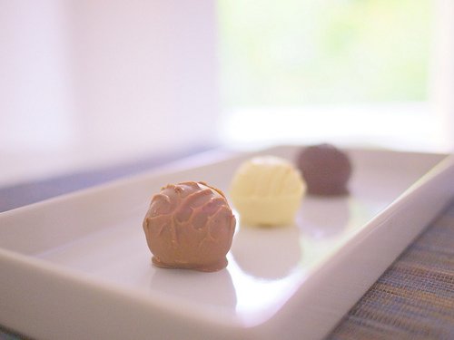 你赶快承认你是个死胖子吧_WWW.TQQA.COM