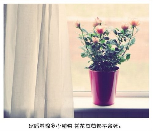 我用阳光洒你笑脸，你用雨露润我心田_WWW.TQQA.COM