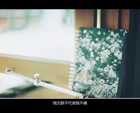 没有前因，无关风月，只是爱了_WWW.TQQA.COM