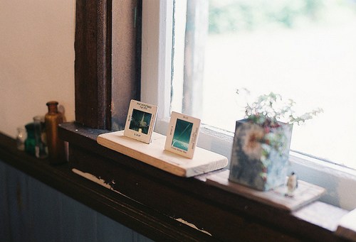 这份美丽，只是刹那_WWW.TQQA.COM