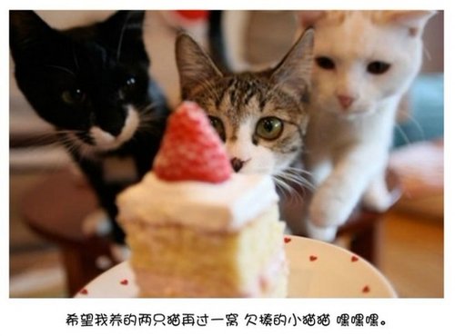 我用阳光洒你笑脸，你用雨露润我心田_WWW.TQQA.COM