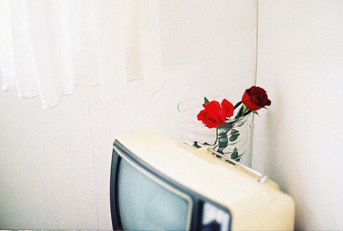 一万个美丽的未来，抵不上一个温暖的现在_WWW.TQQA.COM