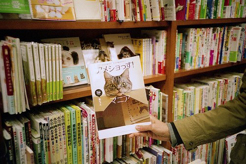 一个孤独的散步者的梦_WWW.TQQA.COM