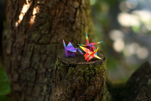 一组温暖入心的千纸鹤题材美图_WWW.TQQA.COM