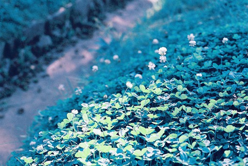 生活中不经意却美好的画面_小清新lomo图片_WWW.TQQA.COM