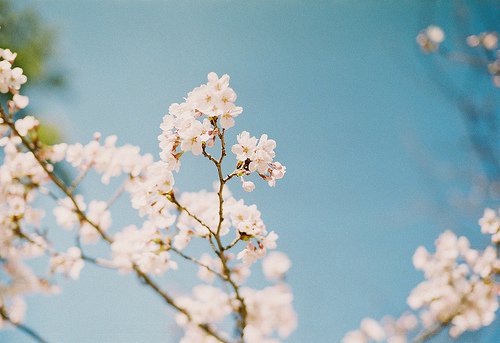 人生没有意外_WWW.TQQA.COM