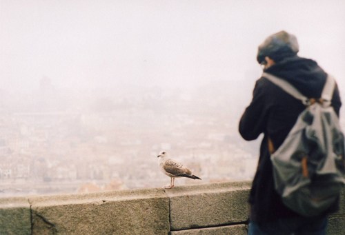 有些事只要你肯反过来看，你会有另外一番光景_WWW.TQQA.COM