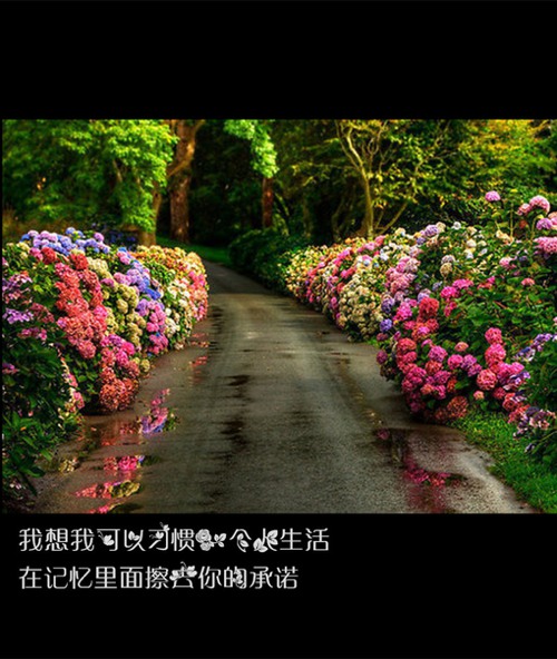 微笑向前看，不记来时路  唯美图片带字_WWW.TQQA.COM