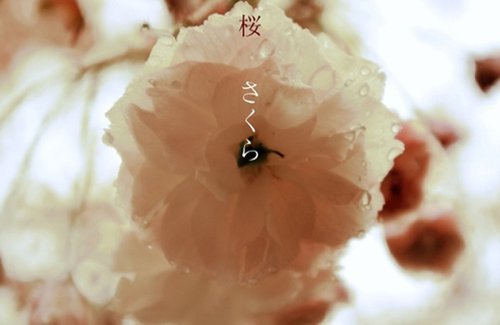我只是犯病了而已_WWW.TQQA.COM