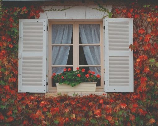 生活是人间在繁华的演出_WWW.TQQA.COM