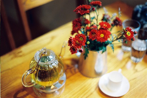 在那样的年华里，我们曾经遇见谁_WWW.TQQA.COM