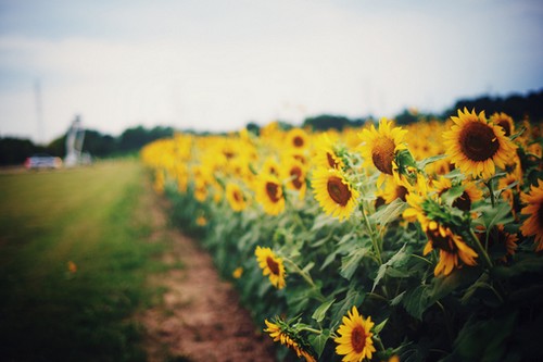 最重要的就是懂得欣赏生活的美好_WWW.TQQA.COM