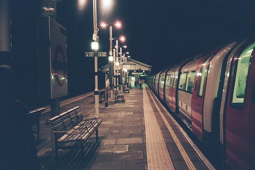 没有一种生命的轮回是命中注定的_WWW.TQQA.COM