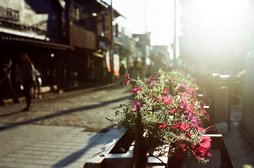 执笔在这一世光年，与你书三世繁花_WWW.TQQA.COM