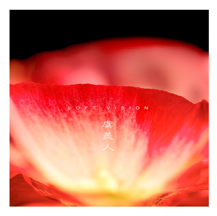 罂粟科植物虞美人花朵小清新图片_WWW.TQQA.COM