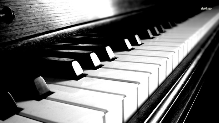 优美意境的弹钢琴美图图片_WWW.TQQA.COM