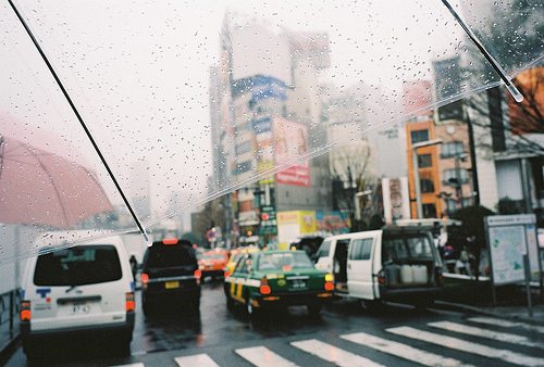 从一个人的城市，到一个人的大学_WWW.TQQA.COM