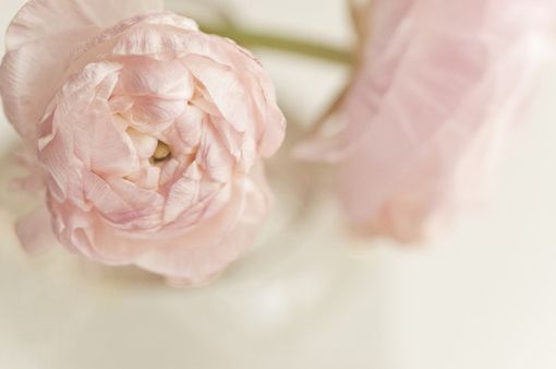 蓦然回首，才发现人活着是一种心情_WWW.TQQA.COM