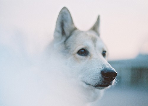 带上照相机开始一程旅行吧_WWW.TQQA.COM