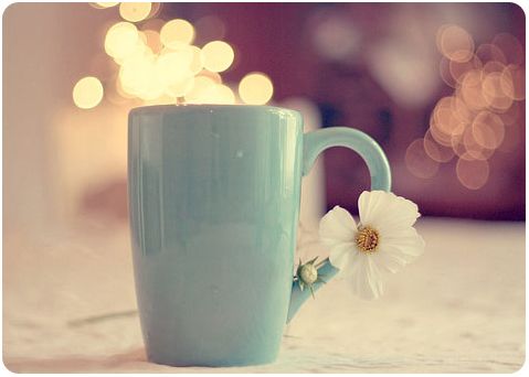 我们都是杯子控 图片_WWW.TQQA.COM