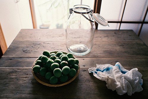 一万个美丽的未来，抵不上一个温暖的现在_WWW.TQQA.COM