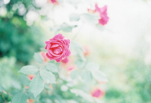 生活不过像深井一般的死寂而已_WWW.TQQA.COM