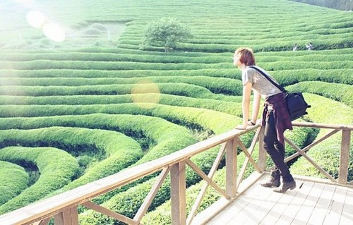 我们一起出发吧_WWW.TQQA.COM