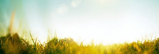 你好，四月的春天_唯美春季风光小清新图片_WWW.TQQA.COM