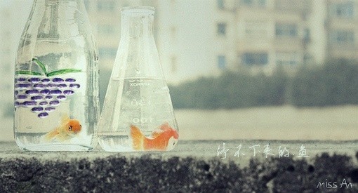 生活中让人感到幸福与温馨的日系风格场景小清_WWW.TQQA.COM