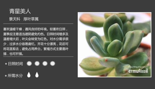 多图详解多肉植物，你懂不呀？_WWW.TQQA.COM