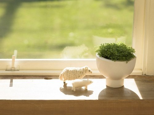 一场未寄走的游荡思念 -小清新_WWW.TQQA.COM