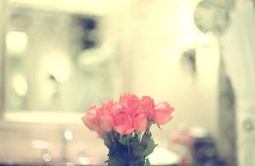 一路上或鲜花盛开，或落英缤纷_WWW.TQQA.COM