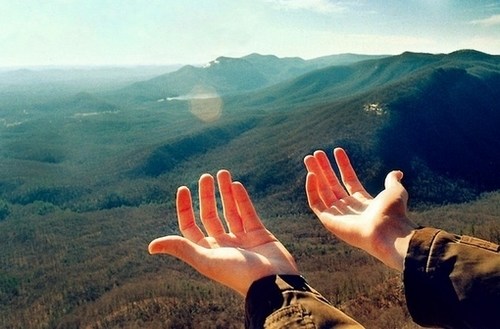 青春是执拗的_WWW.TQQA.COM