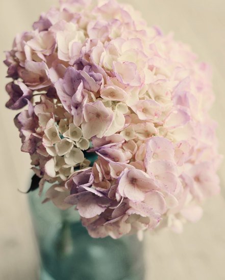 你未看此花时，此花与汝心同归于寂_WWW.TQQA.COM