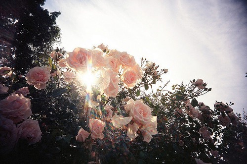 无论爱情还是友情 日系风格小清新图片_WWW.TQQA.COM