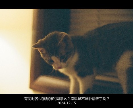 你希望我们还是原来的自己吗_WWW.TQQA.COM
