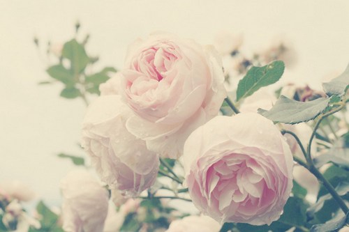 执笔在这一世光年，与你书三世繁花_WWW.TQQA.COM