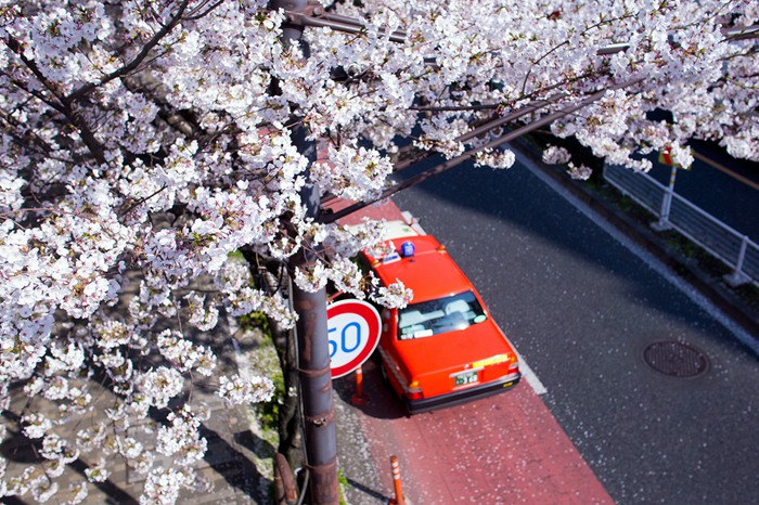 日本旅游时邂逅的美丽风光图片_WWW.TQQA.COM