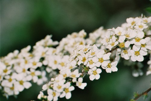 很多时候我更愿意去养一棵植物_WWW.TQQA.COM