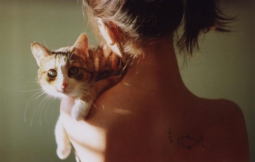 日系风格的猫咪酱写真图片，抱养抱养思密达_WWW.TQQA.COM